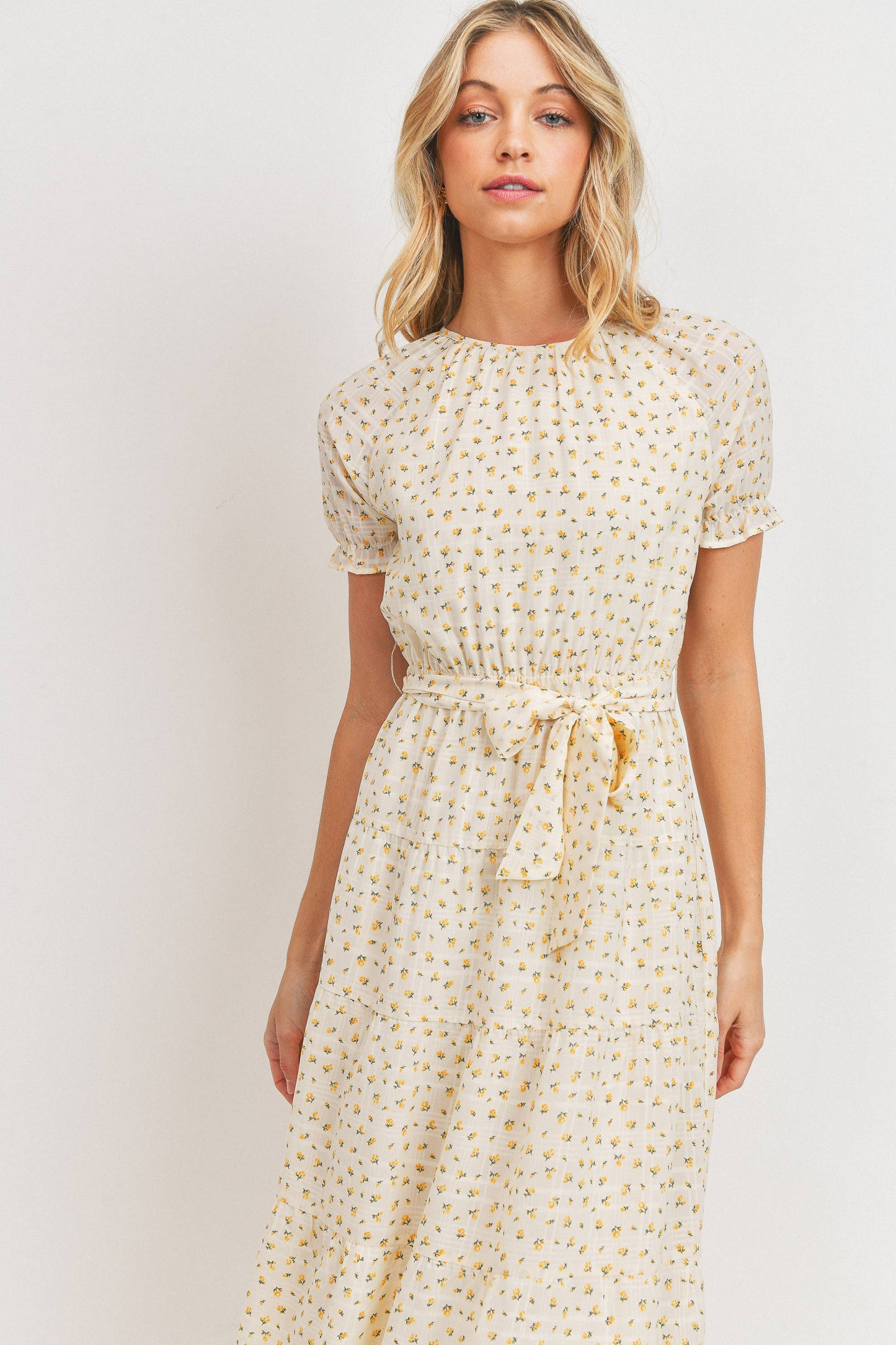 Short Sleeve Round Neck Bow Tie Dress