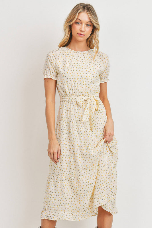 Short Sleeve Round Neck Bow Tie Dress