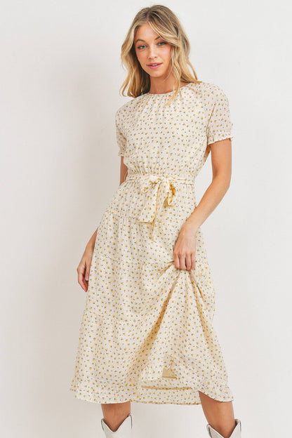 Short Sleeve Round Neck Bow Tie Dress